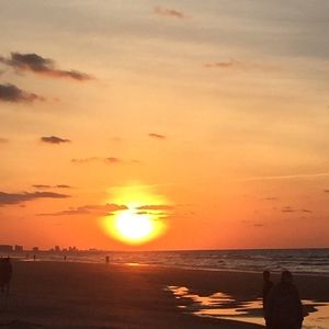 Meet your Posher, Paulette